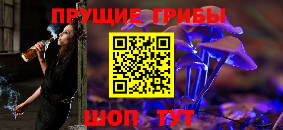 Уссурийск  Псилоцибиновые грибы GOLDEN TEACHER  Псилоцибиновые грибы мицелий  Вход с VPN 